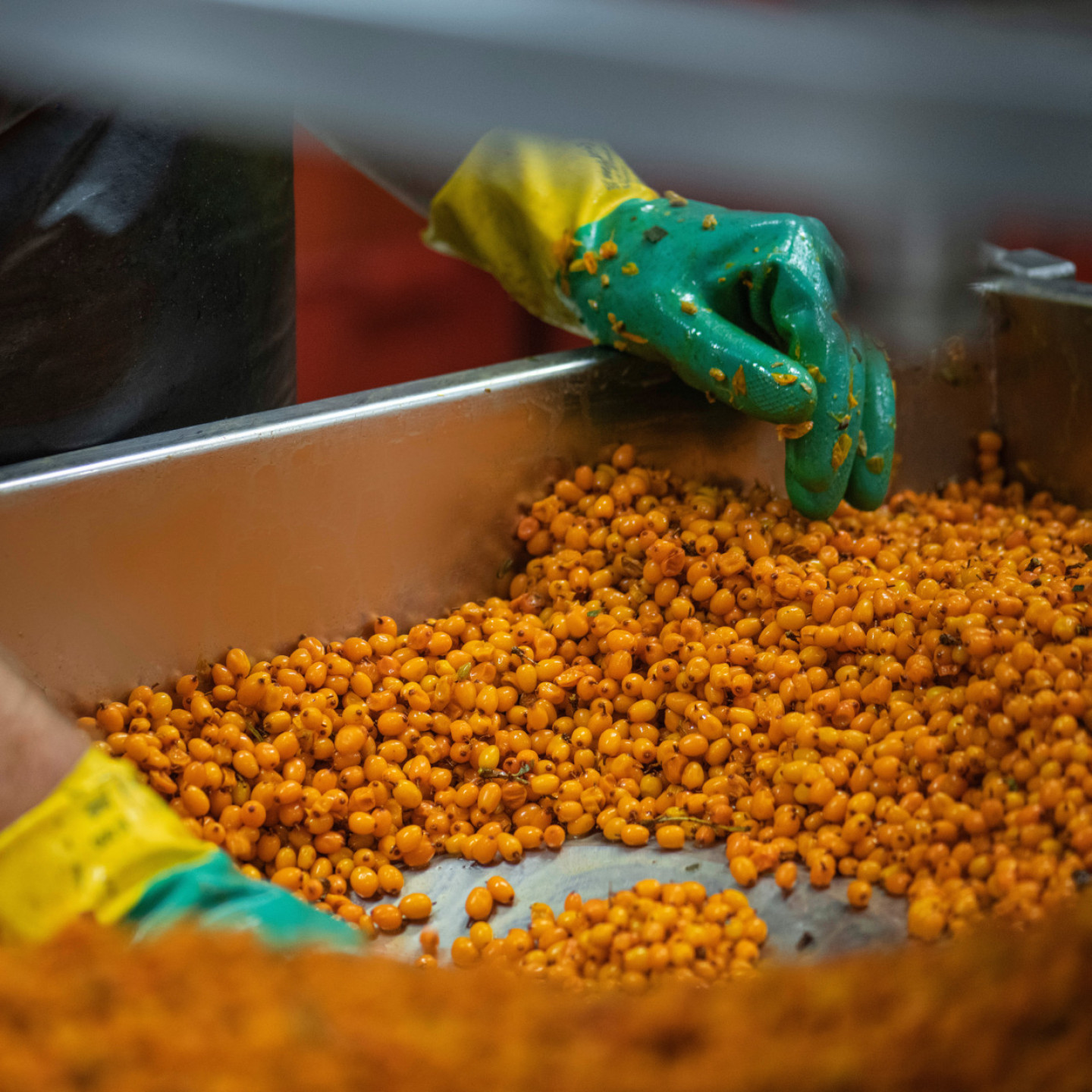 Rakytníková šťáva s medem